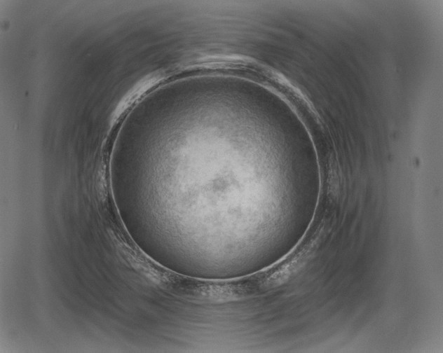 X0000064751362200602131216