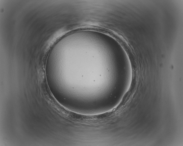 X0000064751363200602131216