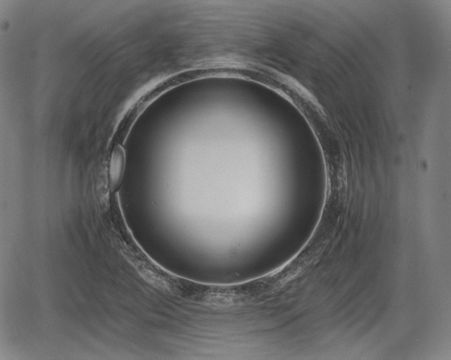 X0000064751364200602131216