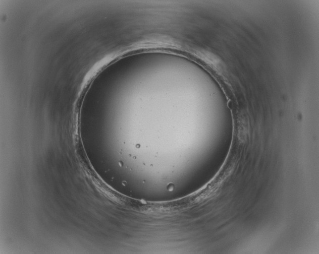 X0000064751366200602131216