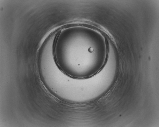 X0000064751368200602131216