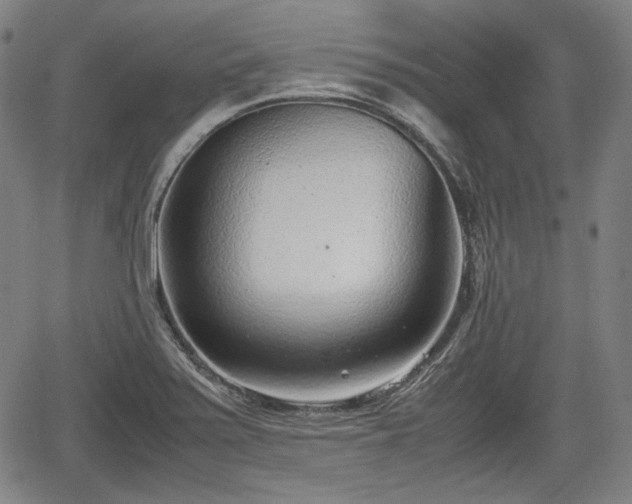 X0000064751371200602131216