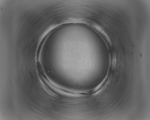 X0000064751372200602131216