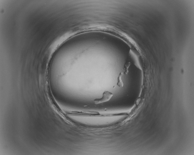 X0000064751373200602131216