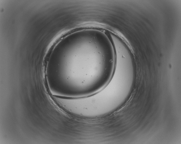 X0000064751376200602131216