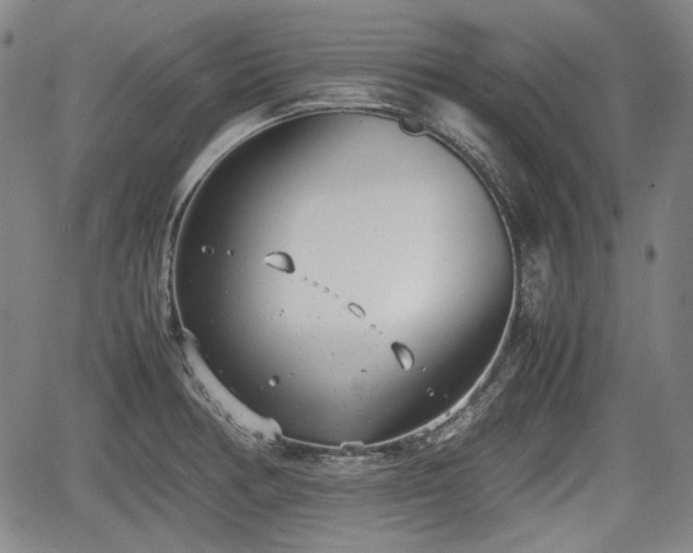 X0000064751378200602131216