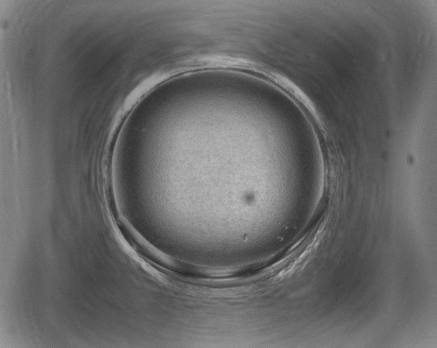 X0000064751381200602131216