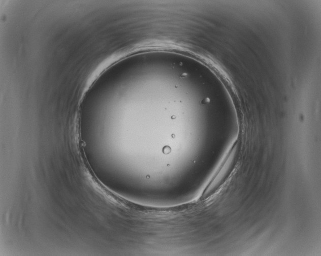 X0000064751382200602131216