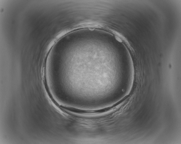 X0000064751383200602131216