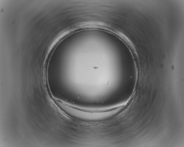 X0000064751384200602131216