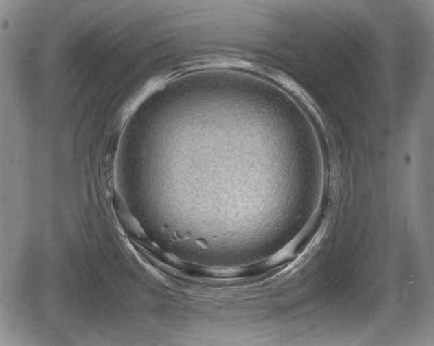 X0000064751385200602131215