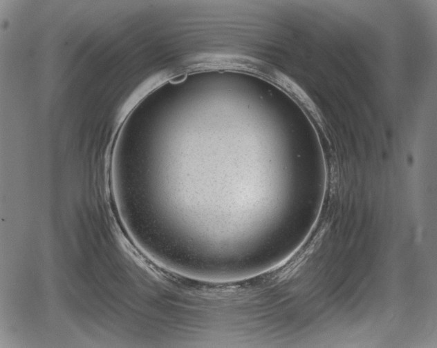 X0000064751386200602131215