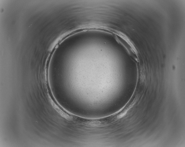 X0000064751388200602131215