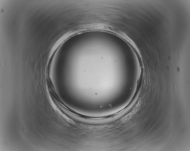 X0000064751389200602131215