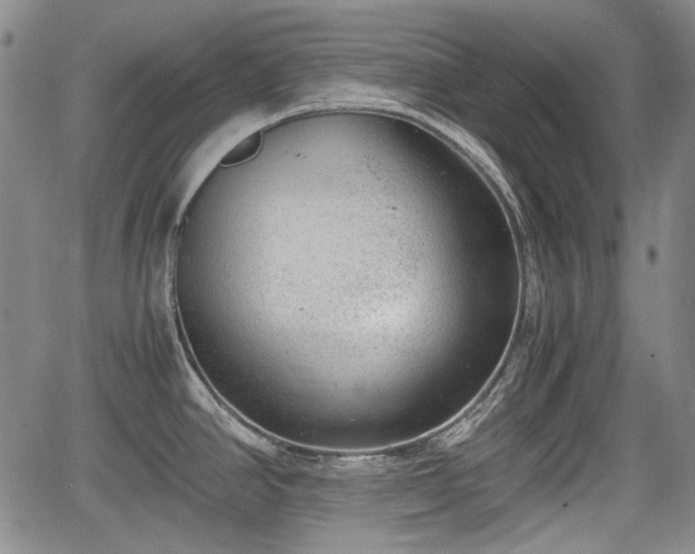 X0000064751390200602131215