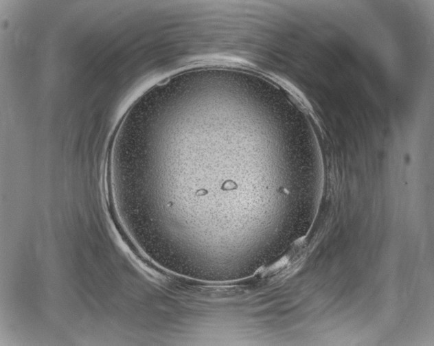 X0000064751391200602131215