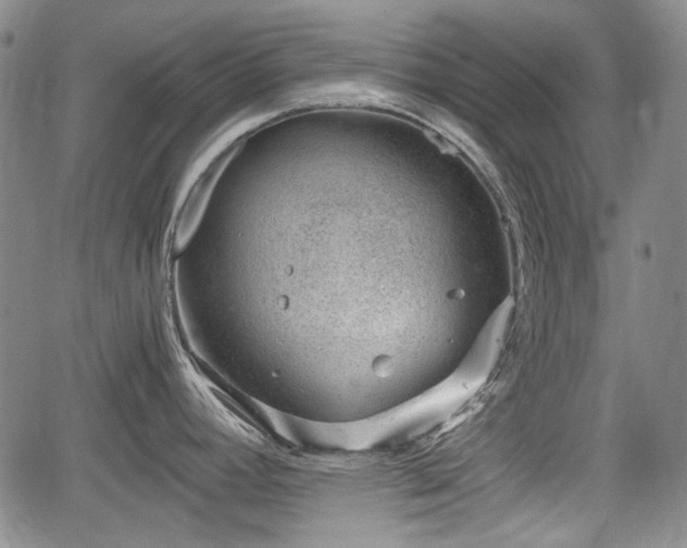 X0000064751392200602131215