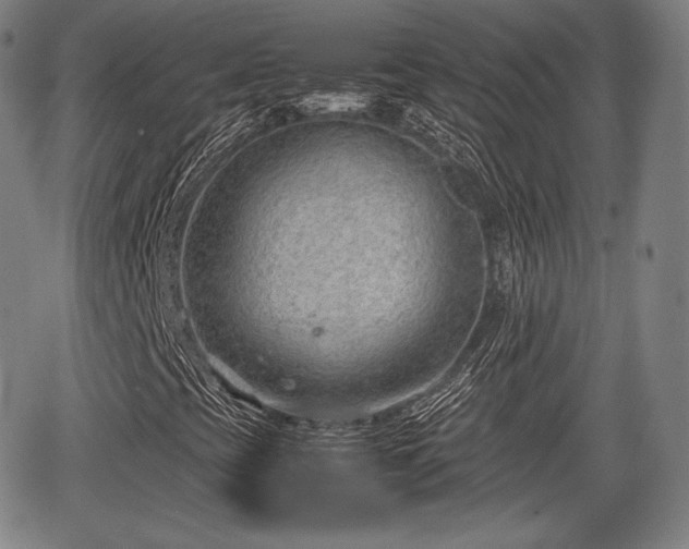 X0000064751393200602131215