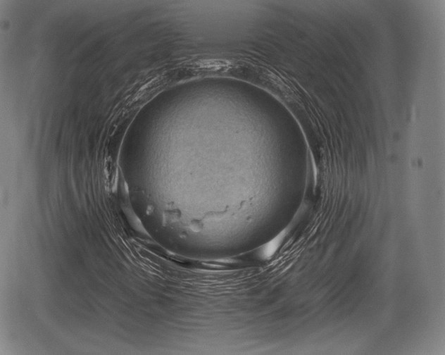 X0000064751394200602131215