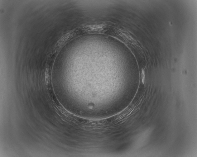 X0000064751395200602131215