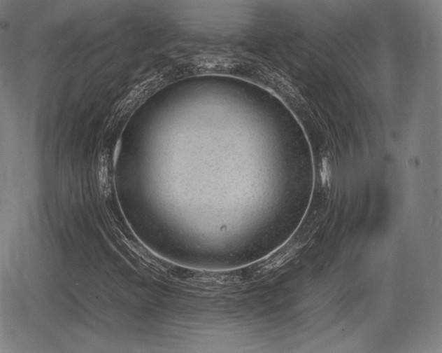 X0000064751396200602131215