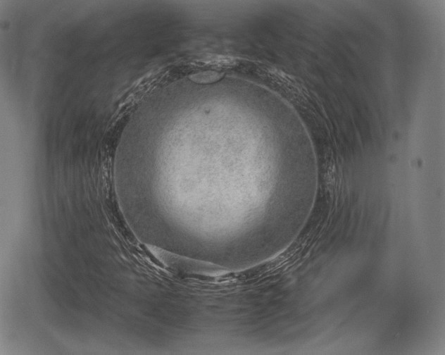 X0000064751397200602131215