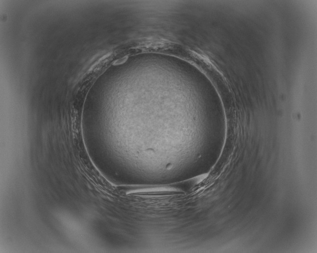 X0000064751399200602131215