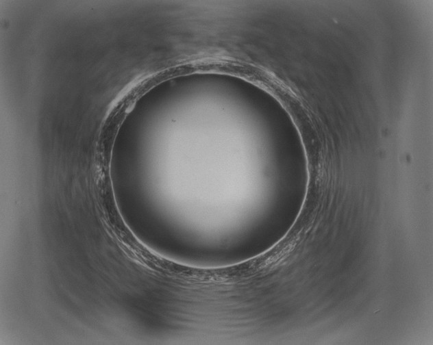 X0000064751400200602131215