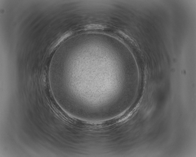 X0000064751401200602131215