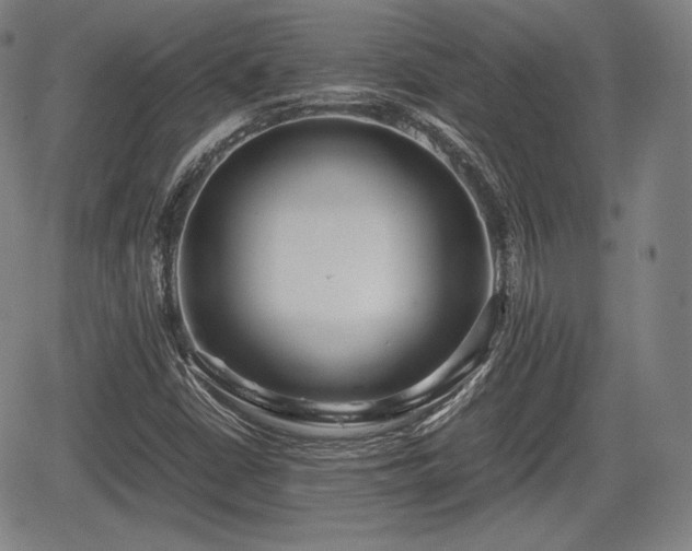 X0000064751402200602131215