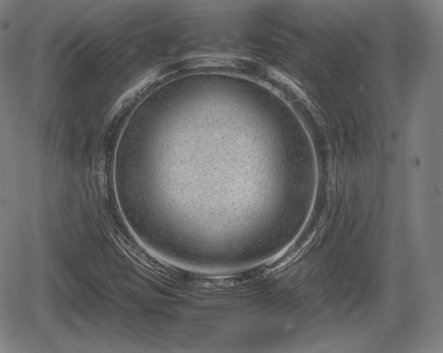 X0000064751403200602131215