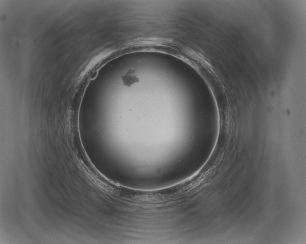 X0000064751404200602131215