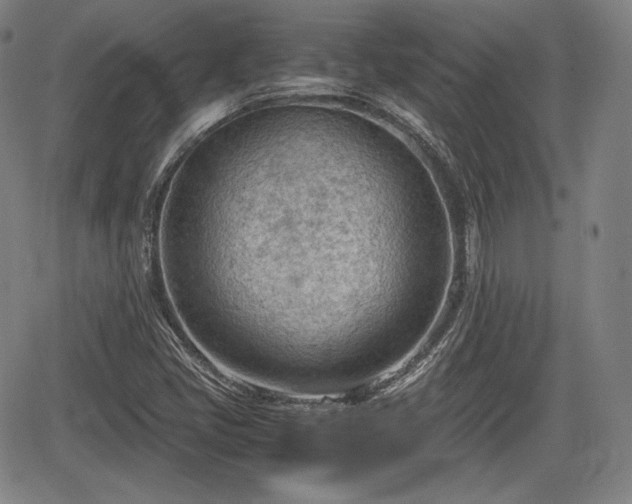 X0000064751405200602131215