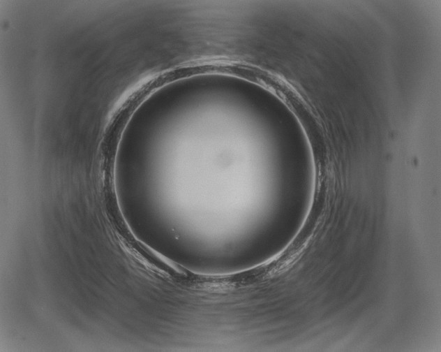 X0000064751406200602131215