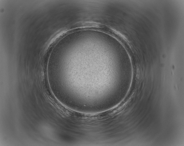 X0000064751407200602131215