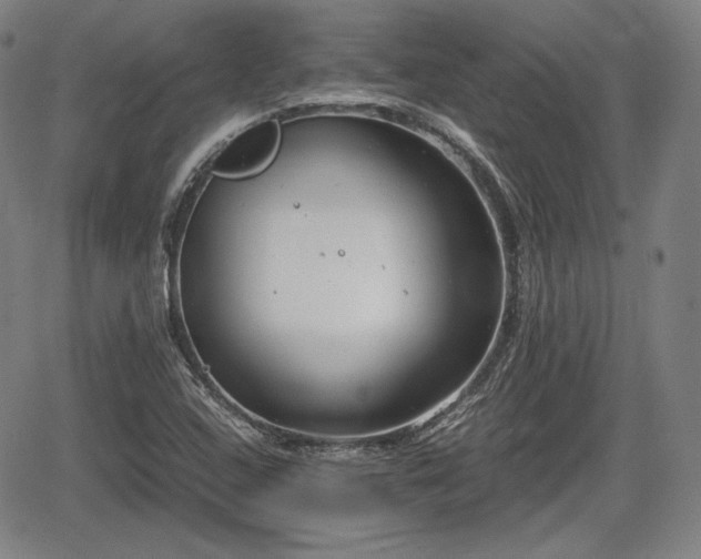 X0000064751408200602131215