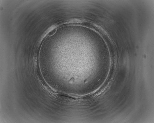 X0000064751409200602131215