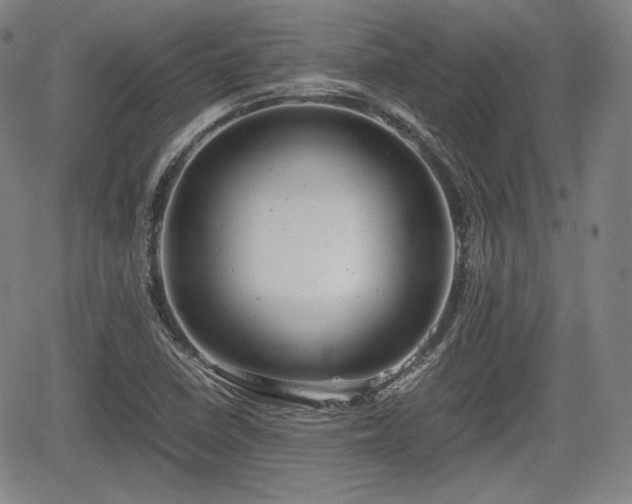 X0000064751410200602131215