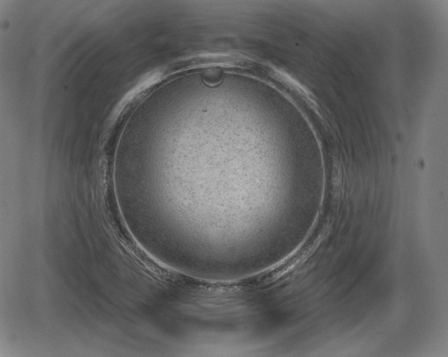 X0000064751411200602131215