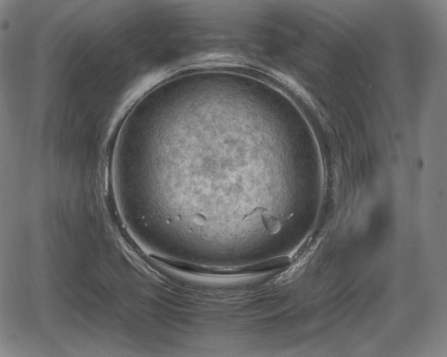 X0000064751413200602131215