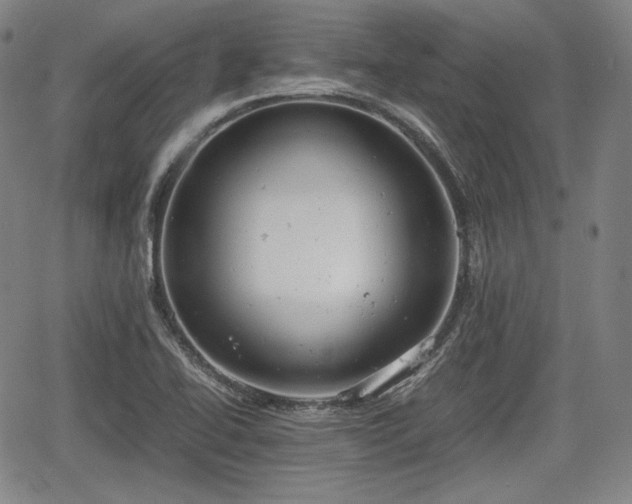 X0000064751414200602131215