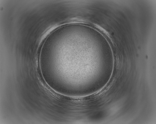 X0000064751415200602131215