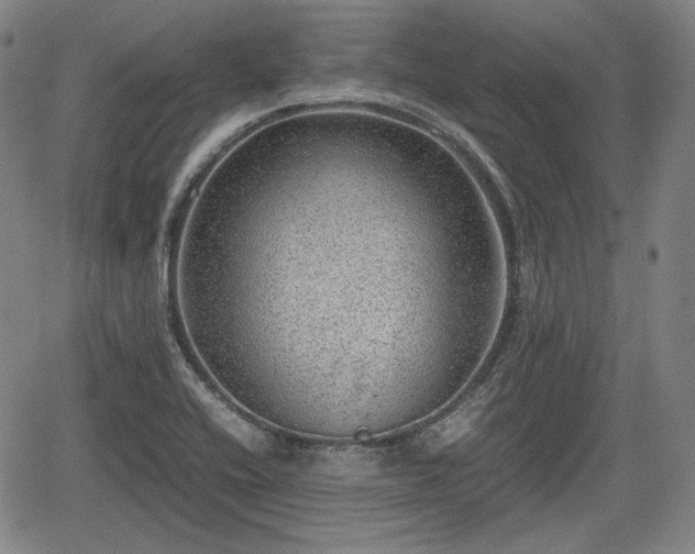 X0000064751416200602131215