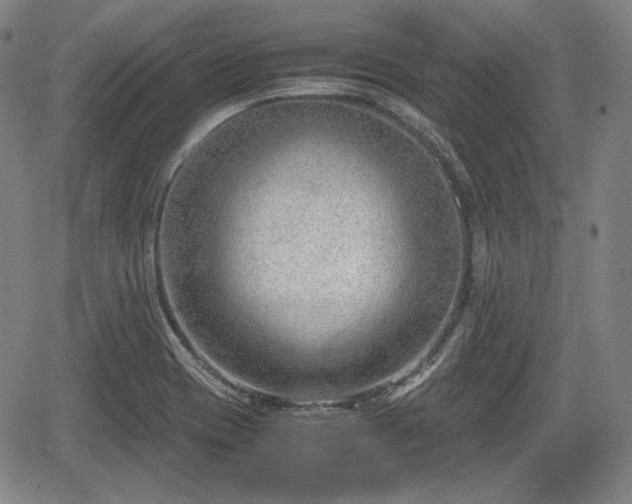 X0000064751417200602131215