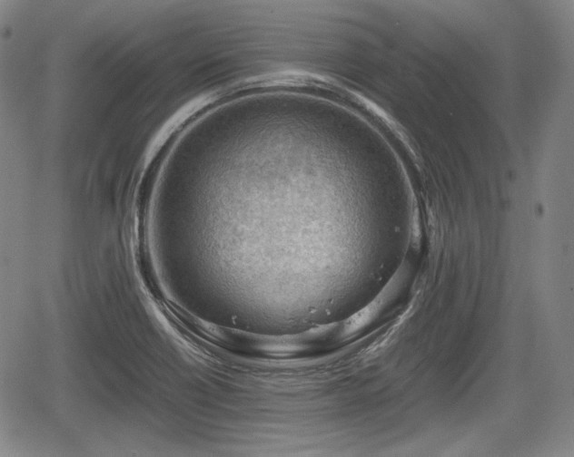 X0000064751418200602131215