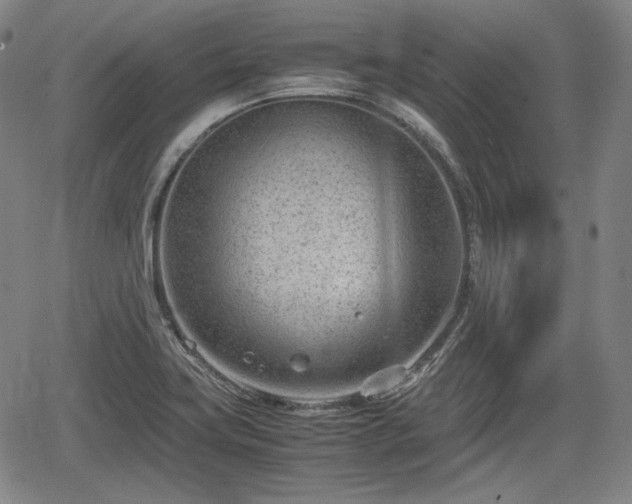 X0000064751419200602131215