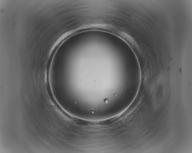 X0000064751420200602131215