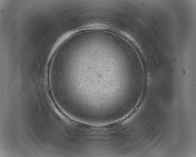 X0000064751421200602131215