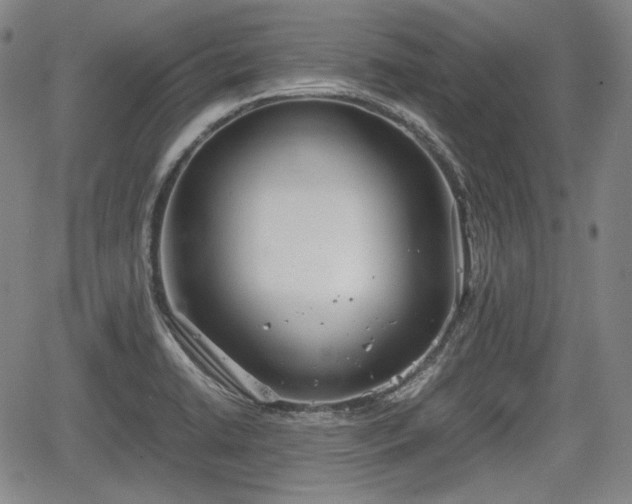 X0000064751422200602131215