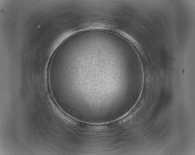 X0000064751423200602131215